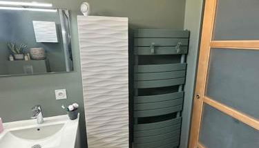 24h du Mans ou Jeux olympiques - Foto 2