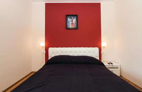 Holiday Home Nedescina 49 - Foto 41