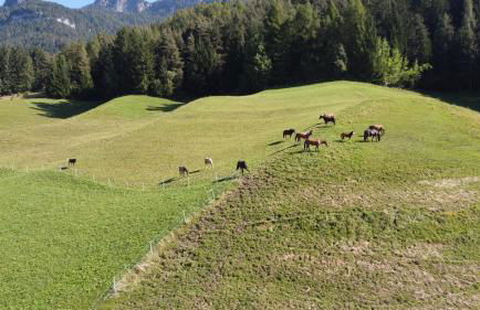 Ladinser Hof Sternenhimmel - Foto 19