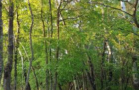 Holiday Apartment VILLA BIANCA - Photo 33