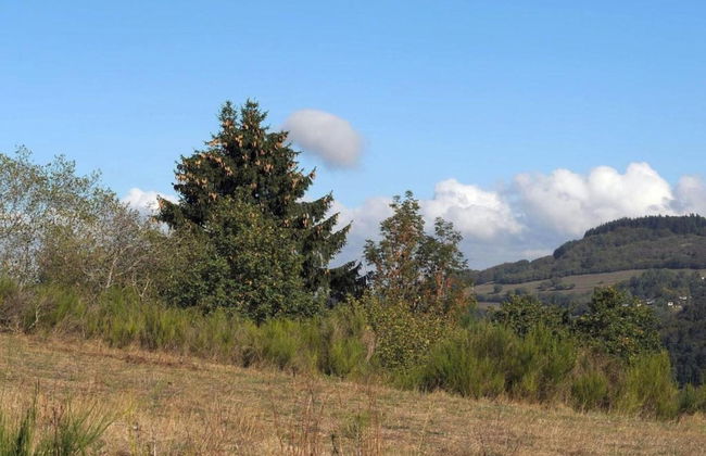 Bungalow Near Eifel Ski Lift - Foto 44