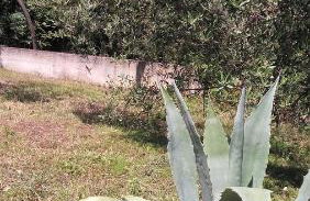 Apartments Nina - Photo 79