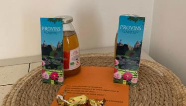 Le gîte entre val et rose - Foto 4