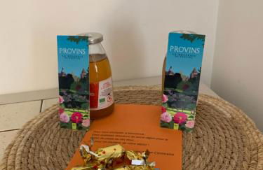 Le gîte entre val et rose - Foto 4