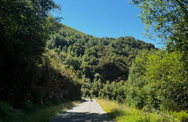 A Barreira -Lar da cima- - Foto 47