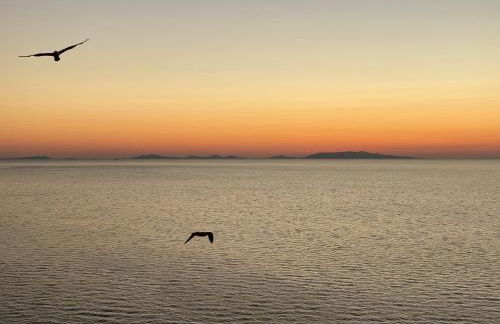 La Casa Rosa - Foto 68