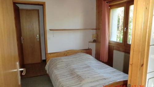 Les passereaux - Photo 5