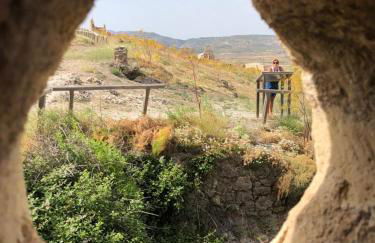 La Albacara - Foto 46