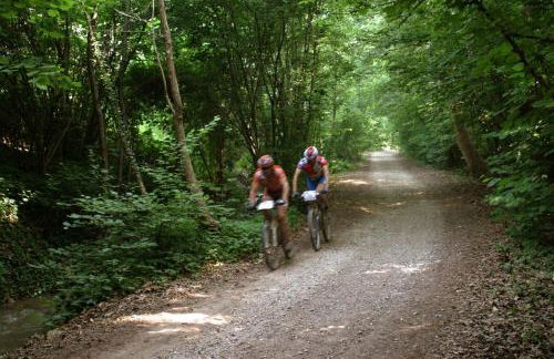 Al Castello Aparthotel - Camere e Appartamenti tra Verona e Lago di Garda - Foto 14