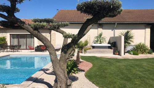 Le Vieux Platane - Foto 3