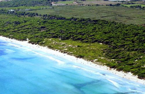 New Sa Rota, Pool and Sea Views en Alcudia - Foto 10