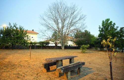 A Tintureira - Photo 22