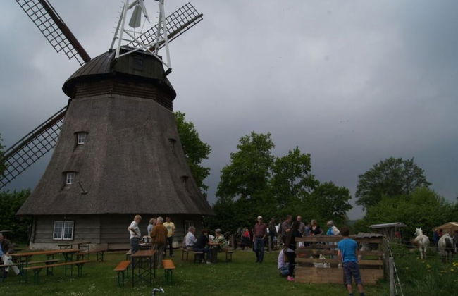 Farm at Grebiner See - Foto 15