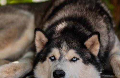 Bachmannhof - Foto 7