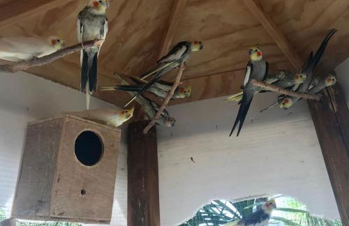 Agriturismo a casa di Susanna - Foto 53