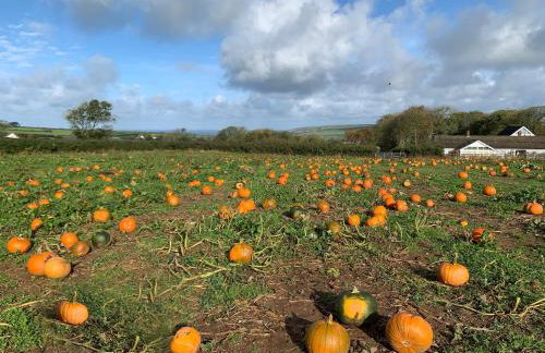 The Farmhouse - Foto 49