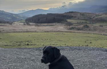 Beautiful Remote Cottage near Dolgellau - Foto 31