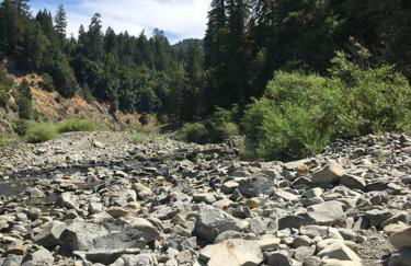 Redwood Castle 2 bed retreat - Foto 19