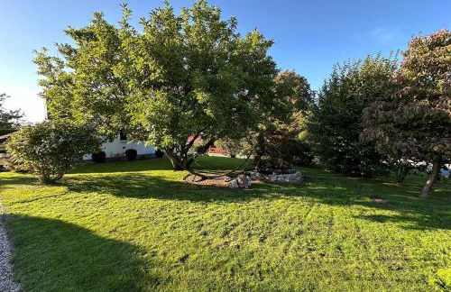 Ferienhaus – Bergblick am Köterberg - Foto 32