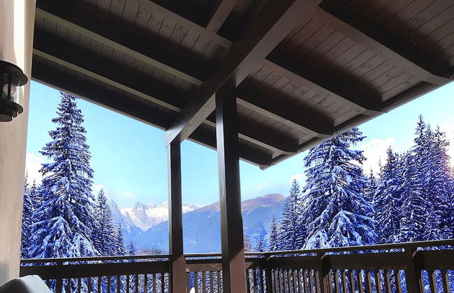 Apartment on the ski Slopes at Plan de Corones - Photo 29