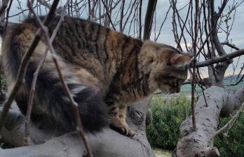 Joka B&B e Home Food - Foto 25