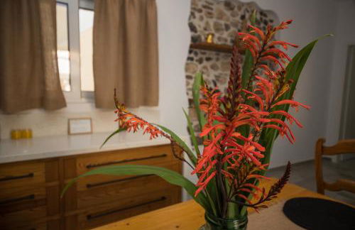 Aeonian Villa Ermioni - Foto 15