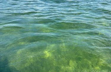 Domki w brzozach - Foto 49