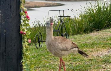 Villa das Cabanas - Foto 28