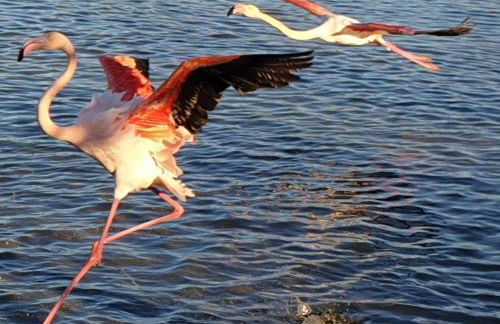 La Petite Maison - Foto 32