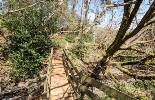 Nant Y Celyn - Foto 45