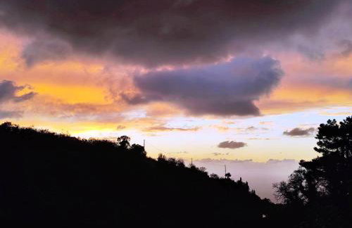 Alma-Maroon Klara & Rachel - Photo 2