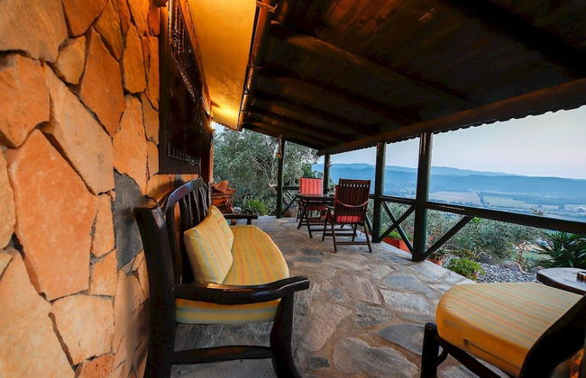 Terra Punto - Photo 5