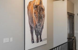 My Yellowstone Retreat - Foto 4