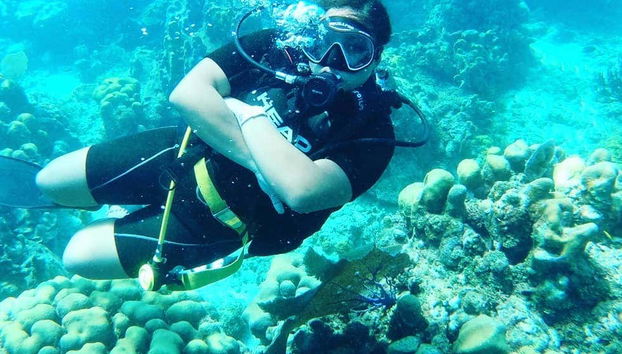 Zona de corais da Isla Catalina