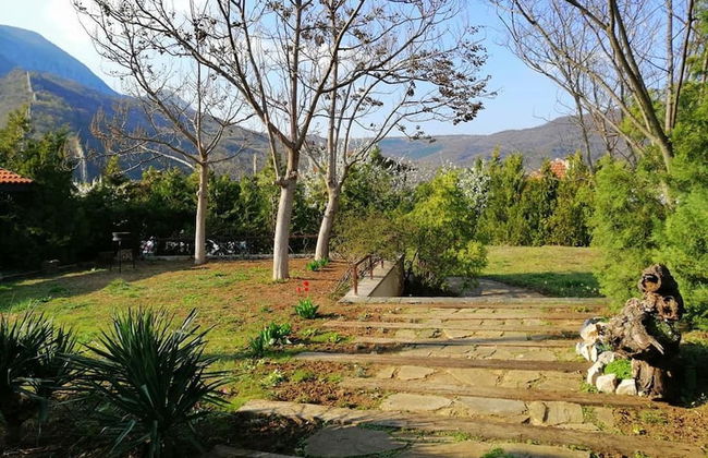 Dream House - Photo 14