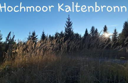 Apartement am Waldrand - Foto 15