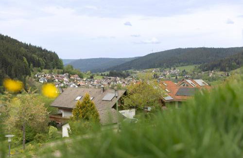 Buhlbach, Black Forest Retreat, mit Sonnenterrasse - Foto 18