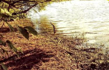 Secluded Watertree Tiny House near Old Hickory Lake – Private Deck, Trails & Breakfast - Foto 67