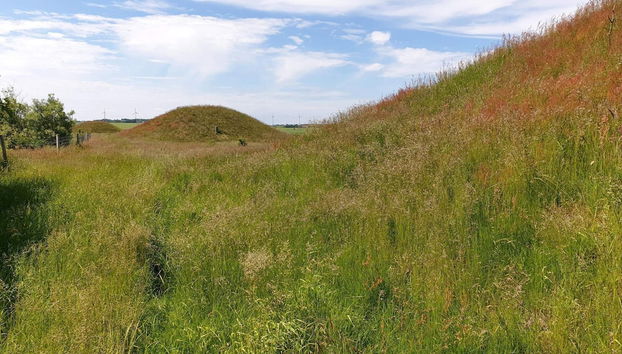 Holiday Home in Ranum - Foto 4