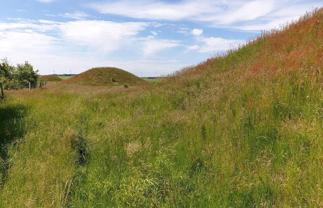 Holiday Home in Ranum - Foto 4