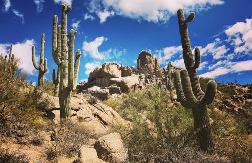 Rio Rancho Verde Two Bedroom Suite - Foto 51