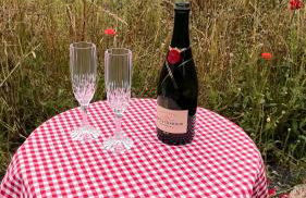 Hilltop Hideaway - Secluded pod with private hot tub - Foto 16