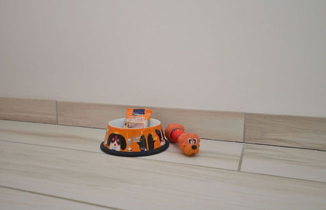 Apartments Viktoria - Foto 45