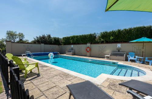 Birds Farm - Foto 94