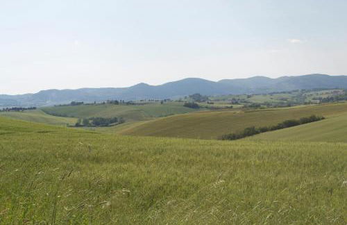 Residence Giuly Rosselmini - Foto 14