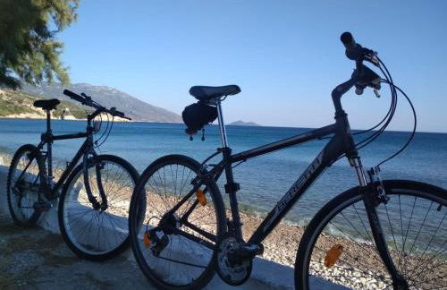 House On The Wave - Foto 34