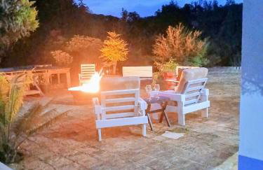 Sítio Casarão - Foto 11