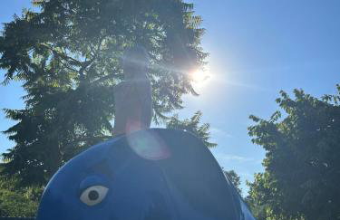 POLUBKOVO domki wypoczynkowe sauna balia basen jezioro - Foto 3