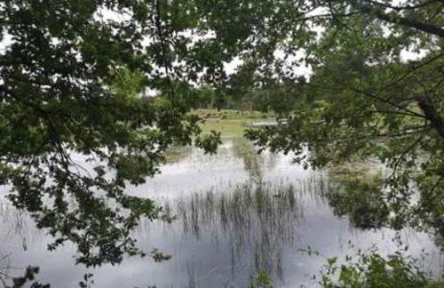 Évasion champêtre : Maison avec piscine, tennis, et étang au cœur de 50 hectares de forêt - FR-1-410-307 - Photo 36