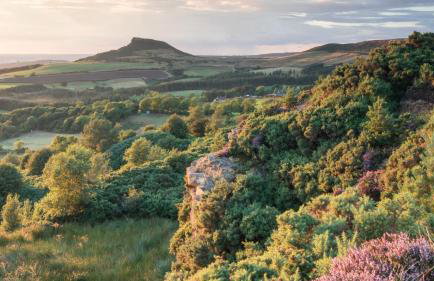 Dovecote House - Luxury Town House - Dog Friendly - Foto 49